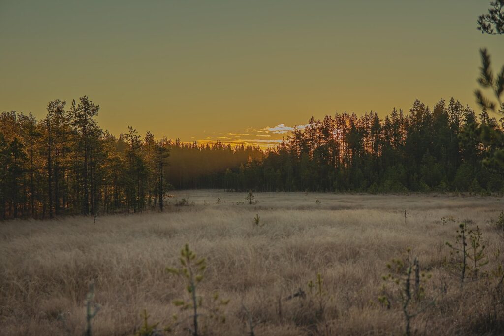 sunrise-7435940_1280